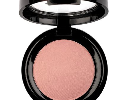 Professional Rouge Powder róż do policzków 09 6g Discount