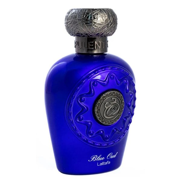 Blue Oud woda perfumowana spray 100ml For Discount