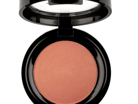 Professional Rouge Powder róż do policzków 07 6g Online