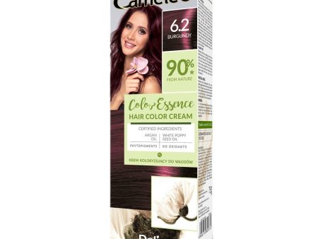 Color Essence krem koloryzujący do włosów 6.2 Burgundy 75g Online Hot Sale