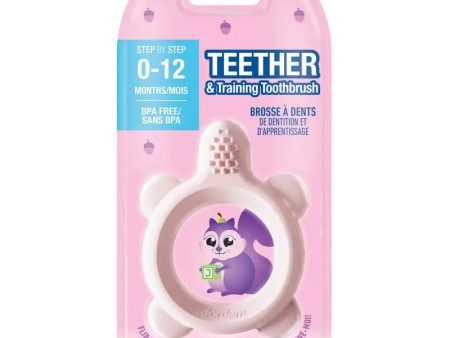 Teether & Training Toothbrush gryzak i szczoteczka treningowa 0-12m Online Hot Sale